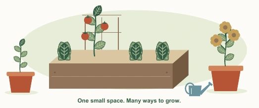 An illustration from the handbook showing a small raised bed, a supported tomato, leafy greens, and pots